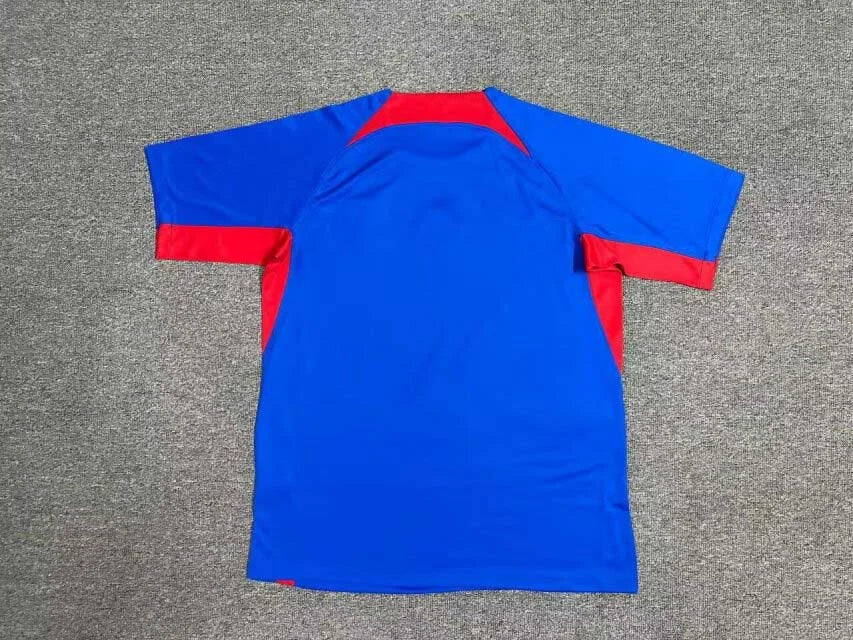 2024 Slovakia Home Kit