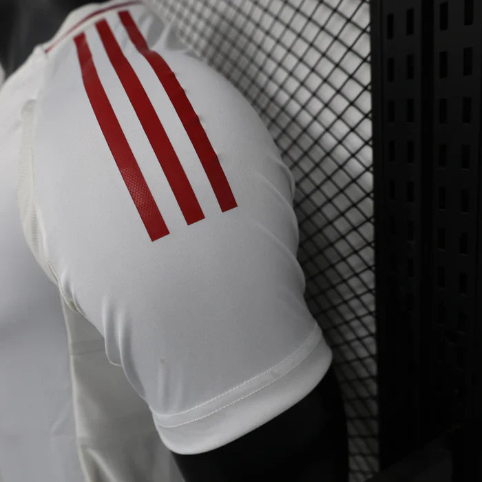 Japan 2024/2025 Away Kit