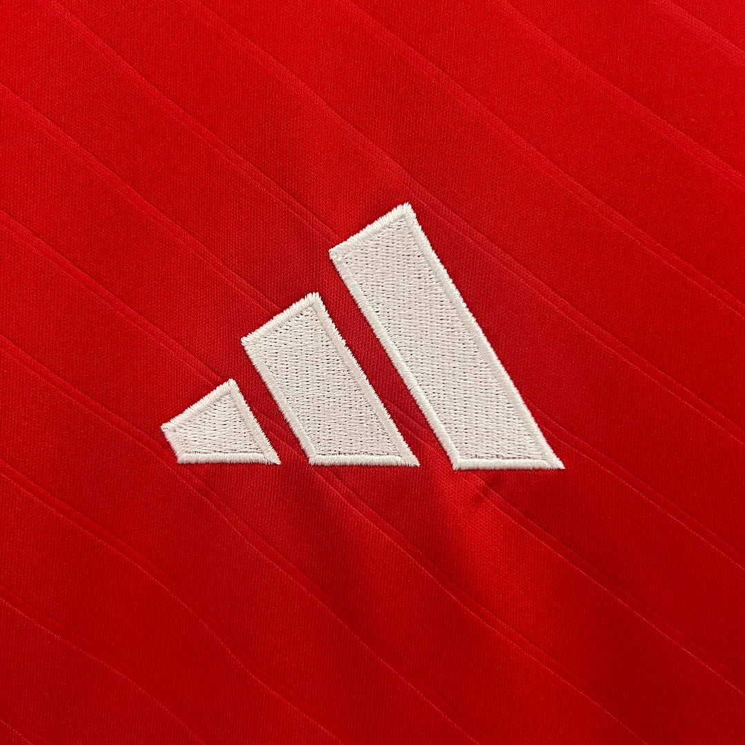 2024-2025 Benfica Home Kit