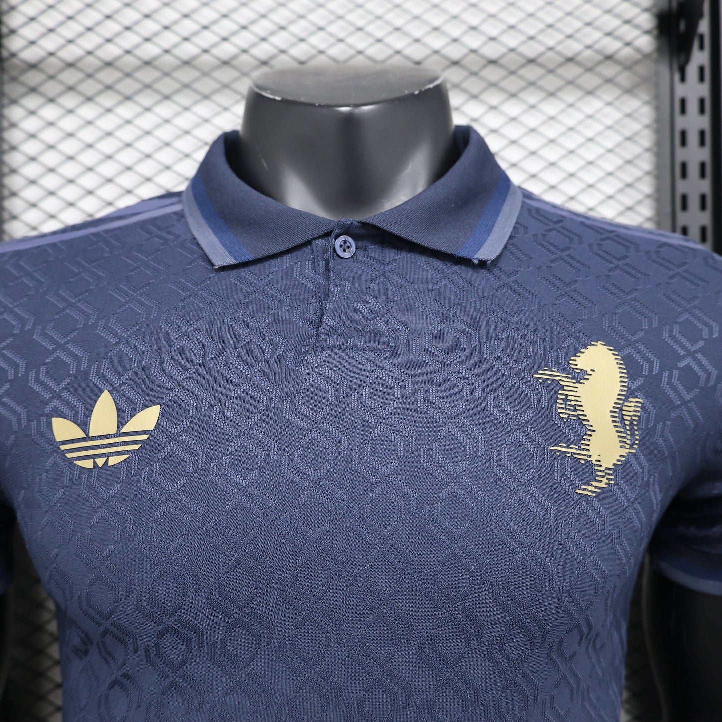 Juventus 2024/2025 Third Kit