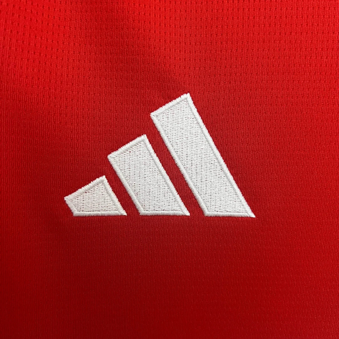 2025/2026 Benfica Home Kit