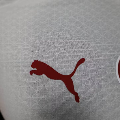 2025/2026 Galatasaray Away Kit