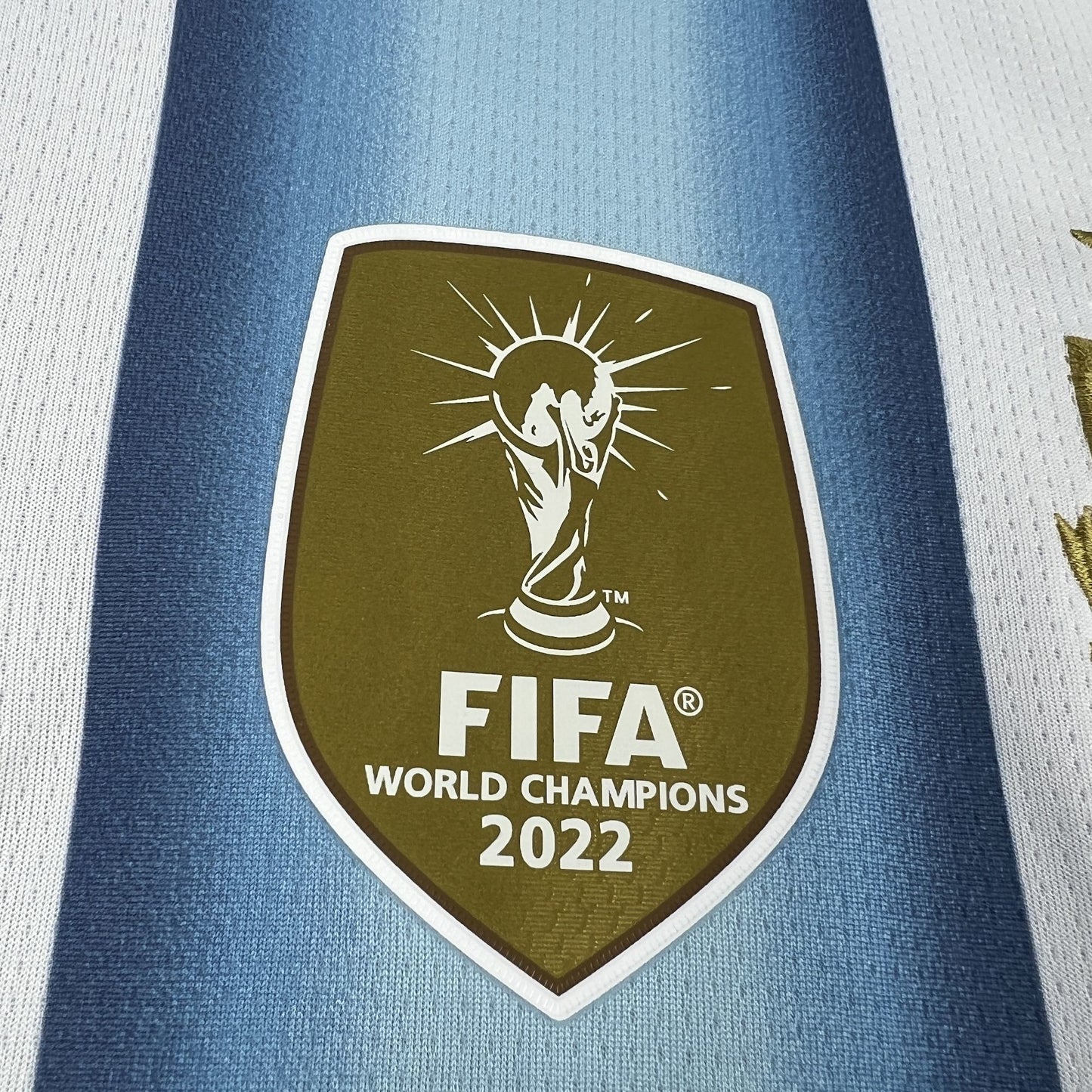 2026 Argentina Home World Cup Kit Fan Version
