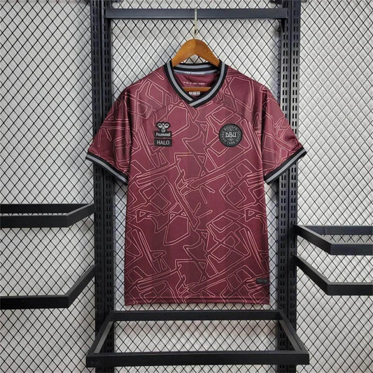 2024 Denmark Limited Jersey