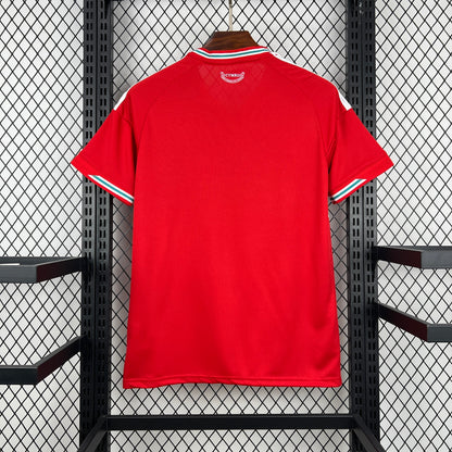 2026 Wales Home World Cup Kit Fan Version