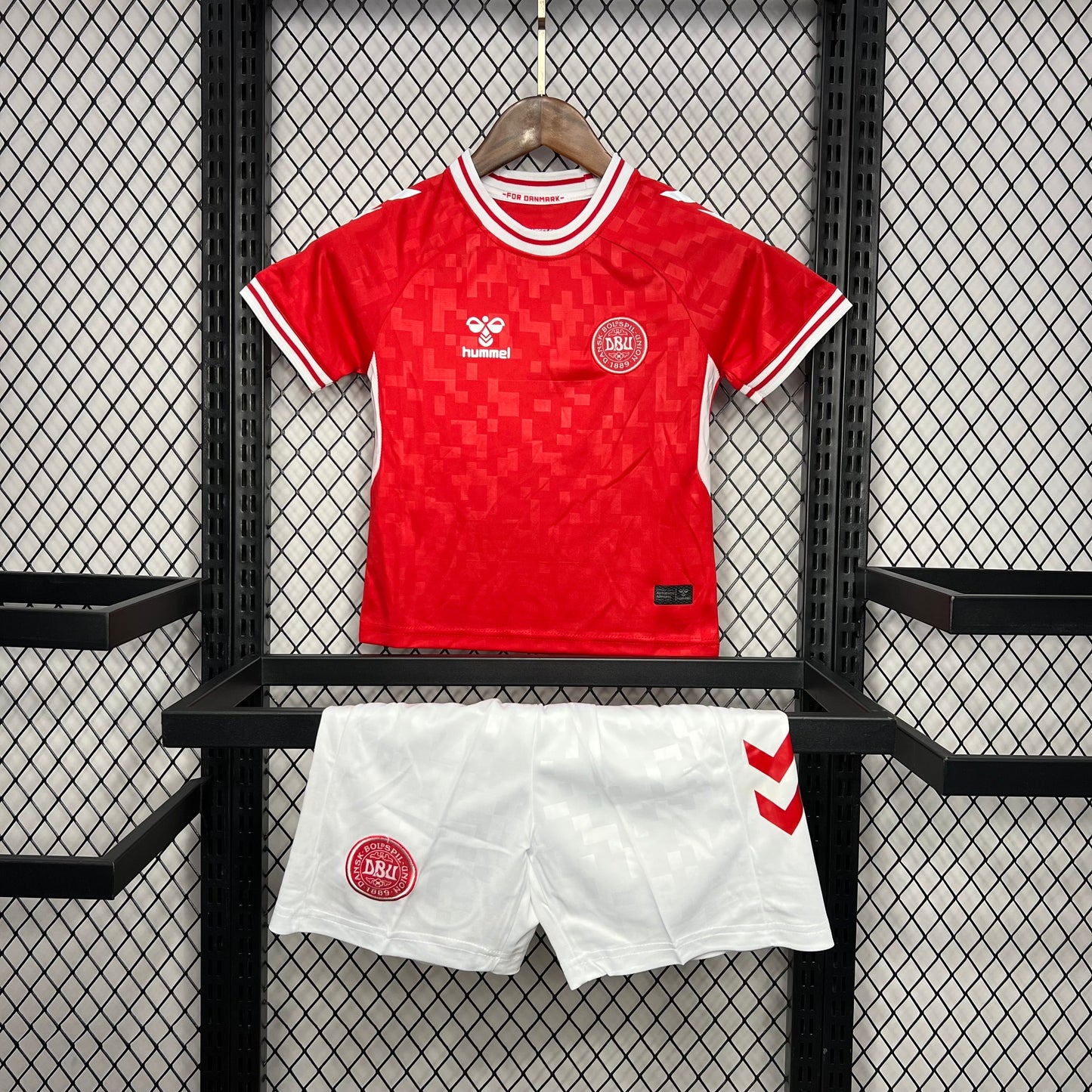 2024 Denmark Home Kit Kids Size