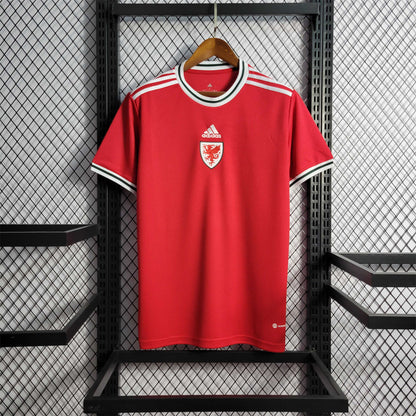 2022 Wales Home Kit