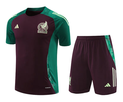 Mexico Training Set