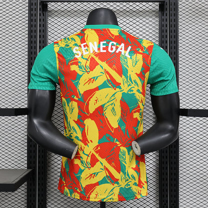 2024/2025 Senegal Pre-match Kit