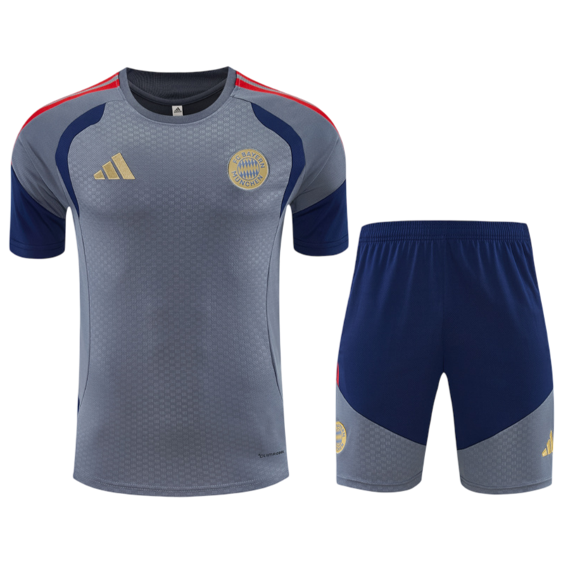 2026/2027 Bayern Munchen Grey Set
