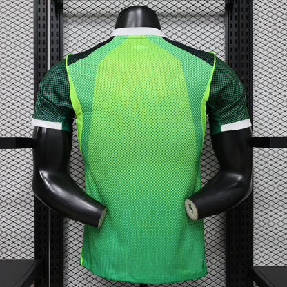 2026 Nigeria Home World Cup Kit Player Version