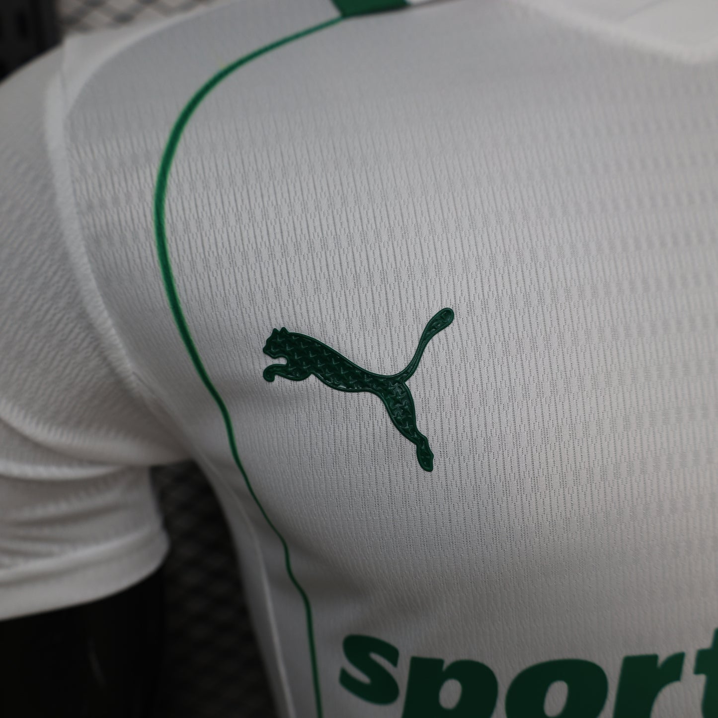 2026/2027 Palmeiras Away Kit