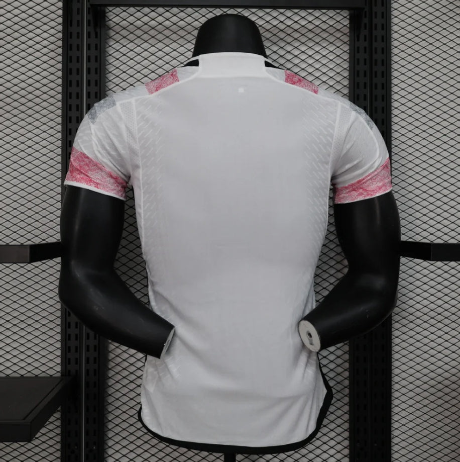 Juventus 2023/2024 Away Kit