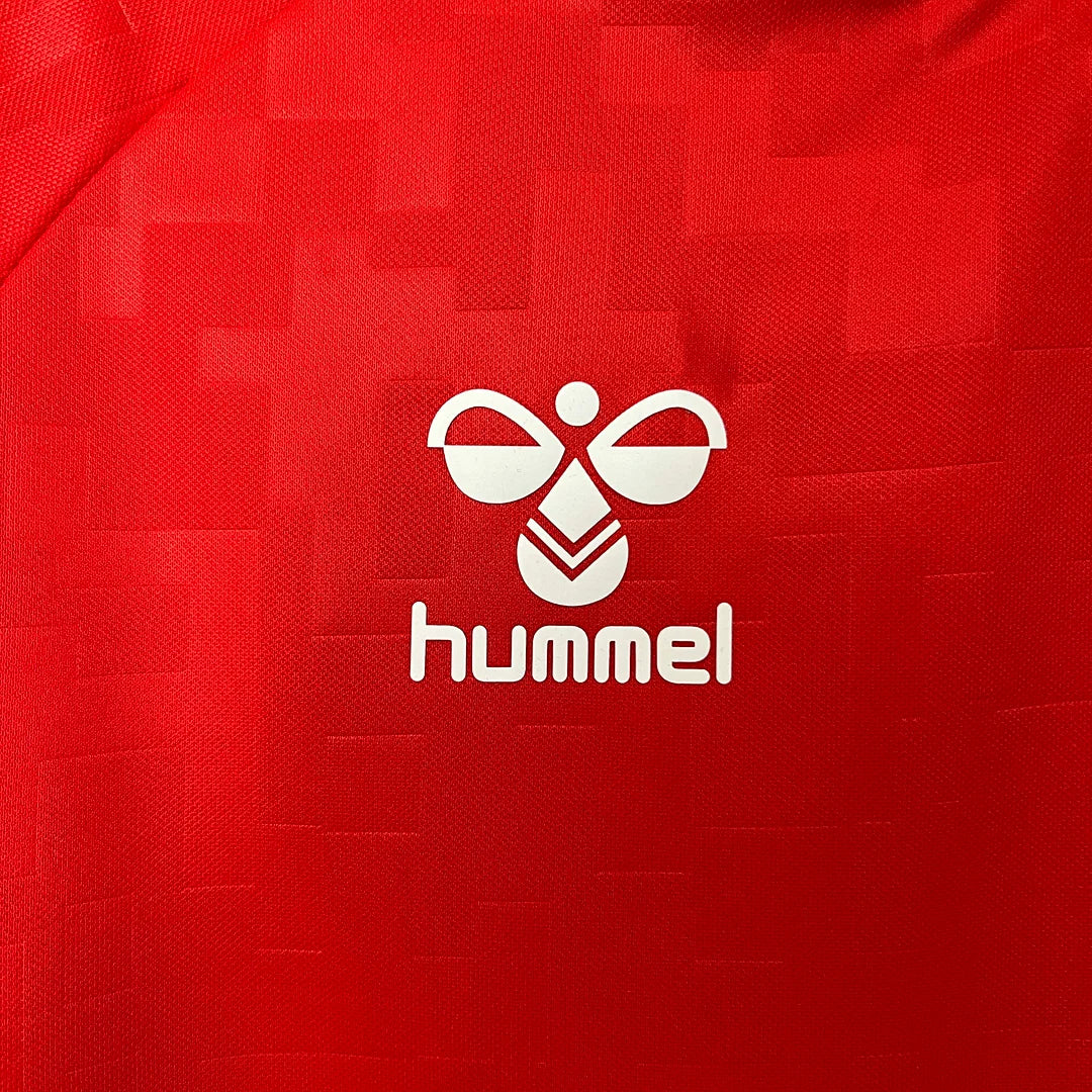 2024 Denmark Home Jersey