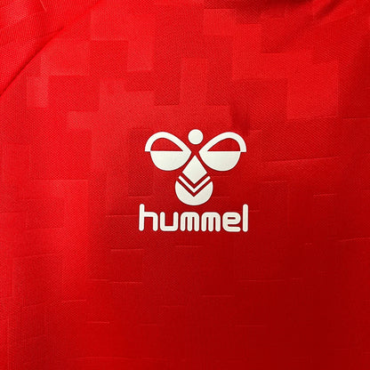 2024 Denmark Home Jersey