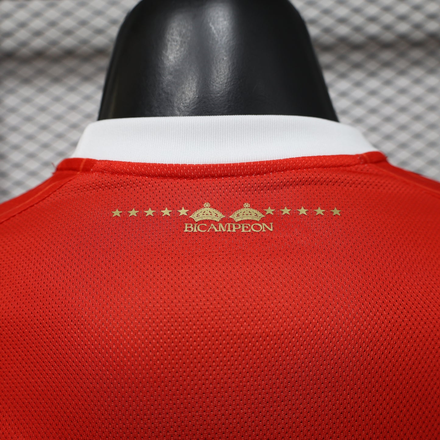 2026/2027 Toluca Home Kit