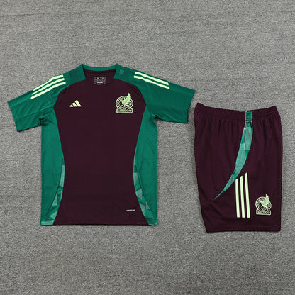 Mexico Training Set