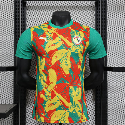 2024/2025 Senegal Pre-match Kit