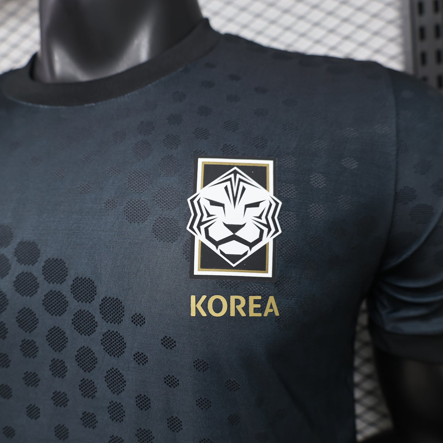 2026 South Korea Limited Jersey