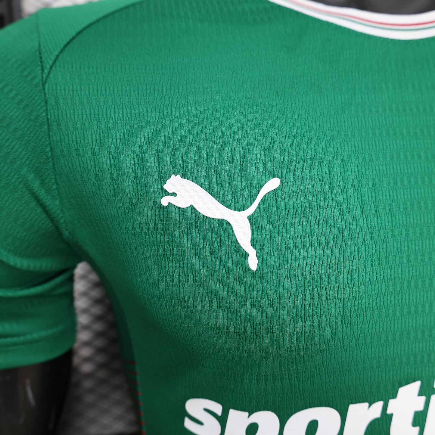2026/2027 Palmeiras Home Kit