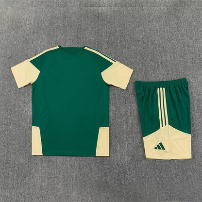 2026/2027 Real Madrid Green x Gold Set