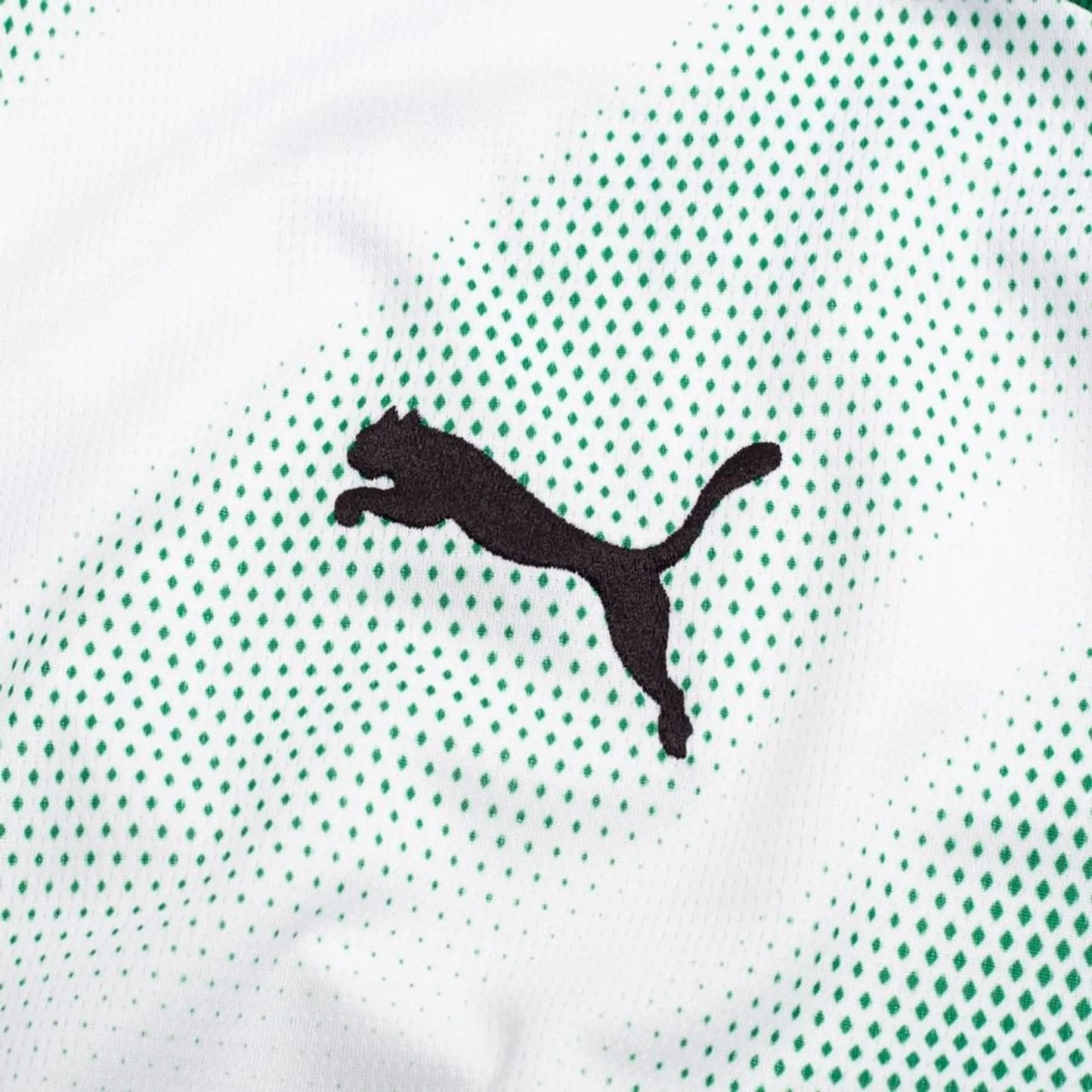 2026/2027 Borussia Mönchengladbach Home Kit