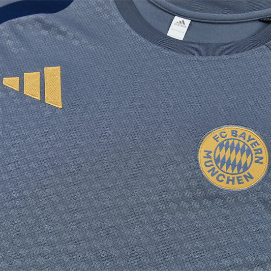 2026/2027 Bayern Munchen Grey Set